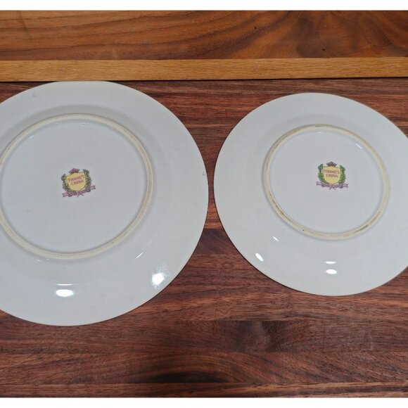 Thames Porcelain China 7" and 6" "Moss Rose" replacement plates - Picture 5 of 5